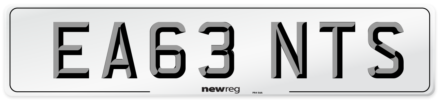 EA63 NTS Number Plate from New Reg